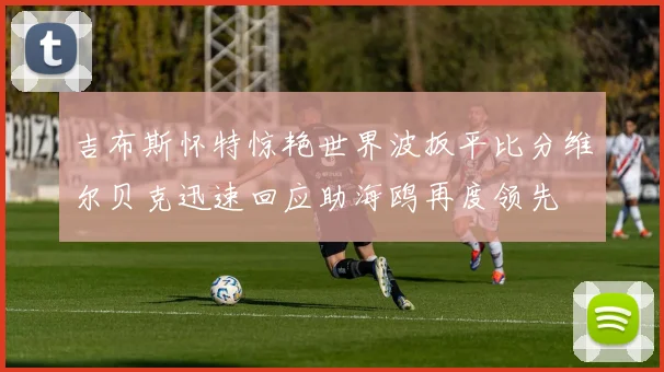 吉布斯怀特惊艳世界波扳平比分维尔贝克迅速回应助海鸥再度领先